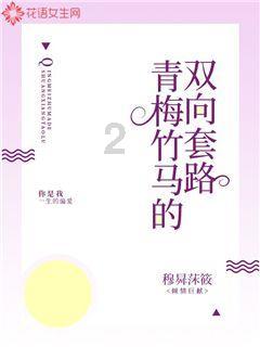 华建集团2涨停